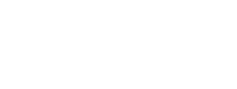 Mountain Bike Movement