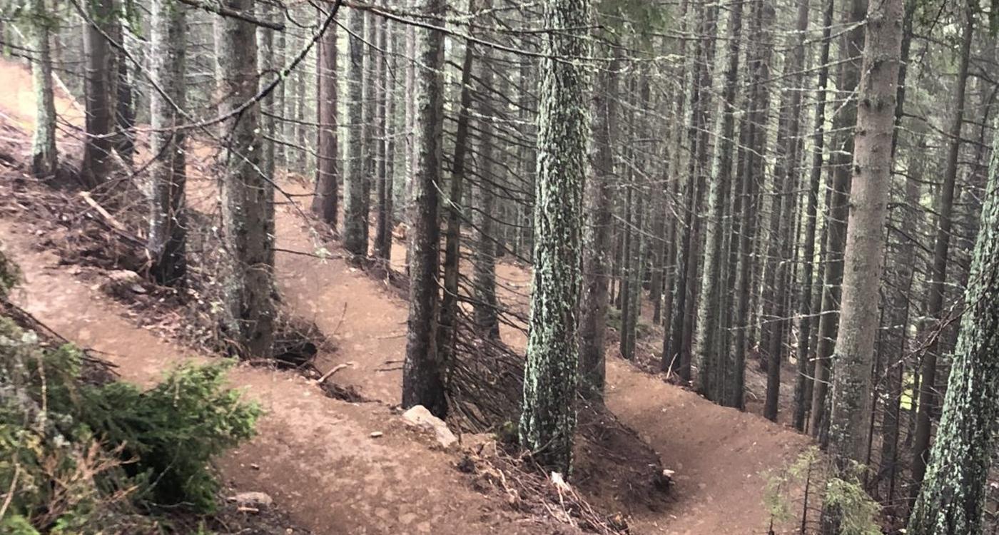 Bikepark Innsbruck