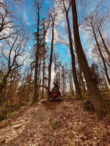 Eine Person bedient einen kleinen Bagger auf einem Feldweg und bereitet eine Mountainbike-Strecke in einem Wald mit hohen, blattlosen Bäumen unter blauem Himmel mit Wolken vor. Braune, abgefallene Blätter bedecken den Boden und deuten auf die jüngste Mountainbike-Bewegung hin.