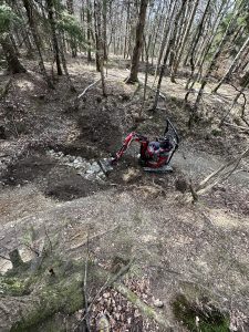 Ein kleiner roter Bagger räumt und ebnet eine unbefestigte Mountainbike-Strecke in einem Waldgebiet mit vielen blattlosen Bäumen und verstreuten Steinen auf dem Boden.