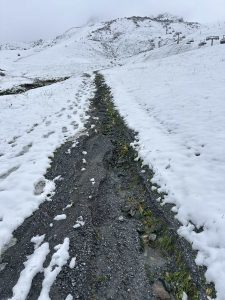 Ein schmaler, steiniger Pfad führt unter bewölktem Himmel durch einen schneebedeckten Hang. Fußspuren und Spuren von Mountainbike-Bewegungen sind im Schnee sichtbar, und entlang des Weges lugen Grasflecken und Steine hervor.