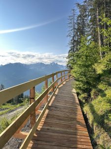 Ein Holzsteg mit Geländer schlängelt sich an einem Berghang entlang, umgeben von grünen Bäumen, in der Ferne schneebedeckte Berge unter einem sonnigen blauen Himmel – perfekt, um den Geist der Mountainbike-Bewegung zu spüren.