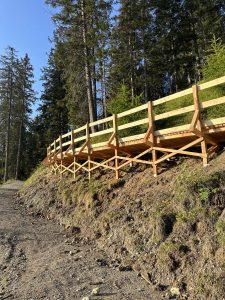 Ein Holzsteg mit Geländer steht erhöht an einem Hang neben einem Feldweg, umgeben von hohen Kiefern und viel Grün unter einem klaren blauen Himmel.