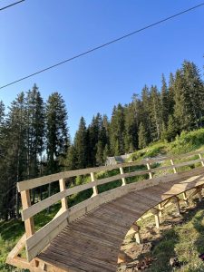 Eine geschwungene Fußgängerbrücke aus Holz mit Geländer befindet sich auf einer grasbewachsenen, sonnenbeschienenen Lichtung neben einer gewundenen Mountainbike-Strecke, umgeben von hohen immergrünen Bäumen unter einem klaren blauen Himmel.