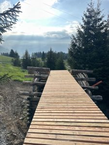 Eine Holzbrücke aus Brettern überquert eine kleine Lücke entlang eines malerischen MTB-Trails in einem Waldgebiet, mit immergrünen Bäumen und grasbewachsenen Hügeln unter einem bewölkten, sonnenbeschienenen Himmel im Hintergrund.