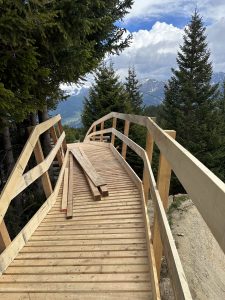 Ein Holzsteg mit Geländer schlängelt sich durch Kiefern entlang eines malerischen Pfades, auf dem lose Holzbretter liegen; im Hintergrund sind Berge und ein bewölkter Himmel zu sehen.