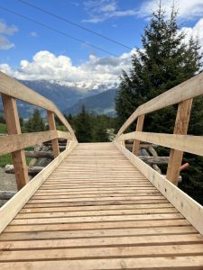Eine hölzerne Fußgängerbrücke führt zu immergrünen Bäumen, während sich ein Mountainbike-Track unter schneebedeckten Bergen entlangschlängelt und im Hintergrund ein teilweise bewölkter blauer Himmel zu sehen ist.