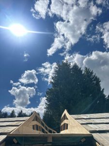 Die Sonne scheint hell an einem blauen Himmel mit vereinzelten Wolken über den spitzen Dächern und hohen immergrünen Bäumen, während sich ein gewundener Mountainbike-Pfad durch die Holzkonstruktionen darunter schlängelt.