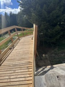 Eine Holzrampe mit Geländer schlängelt sich einen sonnigen Waldweg hinauf. Kiefern umgeben die Rampe, und das Sonnenlicht wirft Schatten auf das Holz. Der Himmel ist teilweise bewölkt.