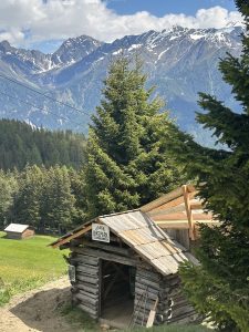 Eine rustikale Holzhütte mit der Aufschrift „Bikepark“ steht auf einem grasbewachsenen Hügel neben einem gewundenen Mountainbike-Pfad, umgeben von Kiefern und schneebedeckten Bergen unter einem teilweise bewölkten Himmel.