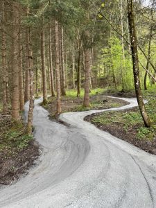 Ein gewundener Schotterweg schlängelt sich durch einen dichten Wald mit hohen, schlanken Bäumen und üppigem grünem Unterholz. Der Weg windet sich scharf und bildet eine S-Form zwischen den Stämmen und dem frischen Frühlingslaub.