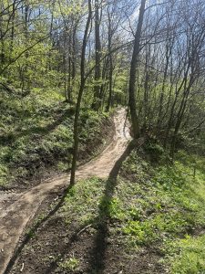 Ein Feldweg schlängelt sich bergauf durch einen sonnendurchfluteten Wald mit laubbedeckten Bäumen und grünem Unterholz – perfekt für ein Mountainbike-Abenteuer. Helles Sonnenlicht wirft Schatten auf den Weg und den Boden.