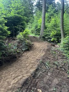 Ein Feldweg schlängelt sich durch einen üppigen, grünen Wald mit hohen Bäumen und dichter Vegetation auf beiden Seiten. Perfekt für Mountainbike-Fans: Der frisch geräumte Weg offenbart frische Erde und neues Wachstum entlang der Strecke.