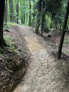Ein Feldweg schlängelt sich durch einen üppigen, grünen Wald mit hohen Bäumen und dichtem Laub. Perfekt für Mountainbiker: Der frisch präparierte Weg schlängelt sich sanft zwischen Moos und Gras unter dem Blätterdach nach oben.