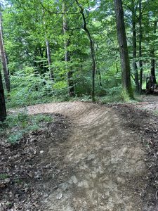 Ein Feldweg schlängelt sich durch einen dichten, grünen Wald und biegt zwischen hohen Bäumen und üppigem Unterholz scharf nach links ab. Der klare Boden lässt darauf schließen, dass der Mountainbikemovement-Weg kürzlich gewartet oder neu gebaut wurde.