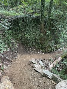 Ein Feldweg schlängelt sich scharf durch ein Waldgebiet. Dichter grüner Efeu bedeckt einen felsigen Hang und verstreute Steine und Baumstämme liegen entlang des Weges – perfekt für Abenteurer, die von der Mountainbike-Bewegung inspiriert sind.