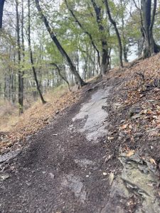 Ein unbefestigter und steiniger Weg schlängelt sich bergauf durch einen Wald, dessen Bäume im Frühherbst ihre Blätter verlieren – perfekt für eine abenteuerliche Mountainbike-Tour. Der Boden ist mit trockenem Laub bedeckt und der Himmel ist bedeckt.