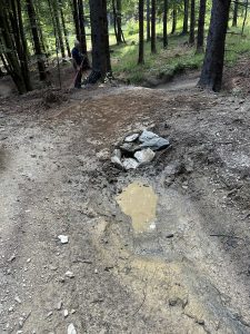 In der Mitte befindet sich ein schlammiger Waldweg mit einer Pfütze und Felsen. Im Hintergrund steht eine Person mit einem Werkzeug und scheint auf dem Mountainbike-Wanderweg zwischen hohen Bäumen zu arbeiten.