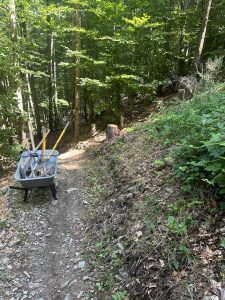 Eine Schubkarre voller Gartengeräte steht auf einem steinigen Feldweg, der auch als Mountainbike-Strecke dient, in einem sonnenbeschienenen Wald, umgeben von grünen Bäumen und Laub.