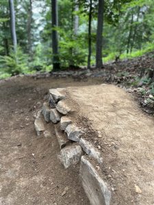 Ein Feldweg in einem Wald mit einem kleinen Sprung oder einer Rampe aus gestapelten Steinen und verdichteter Erde, perfekt für Mountainbiker, umgeben von grünen Bäumen und Laub.