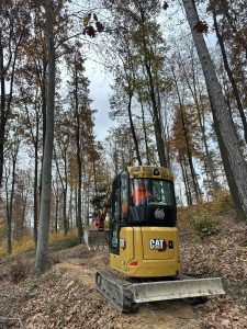 Ein gelber CAT-Minibagger fährt auf einem Feldweg durch einen Wald mit hohen, kahlen Bäumen. Zwei Arbeiter in orangefarbenen Westen sind zu sehen – einer bedient die Maschine, ein anderer steht dahinter. Der Boden ist mit Laub bedeckt.
