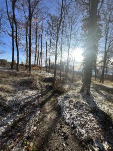 Ein Feldweg schlängelt sich durch einen Wald mit kahlen Bäumen und Schneeflecken auf dem Boden, beleuchtet von hellem Sonnenlicht – perfekt für eine malerische Mountainbike-Tour.