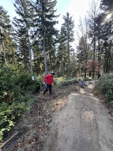 Eine Person in roter Jacke und Helm läuft einen Mountainbike-Trail im Wald hinauf. Ein Fahrrad liegt seitlich neben dem Weg, umgeben von hohen Kiefern und herbstlichem Laub unter klarem Himmel.