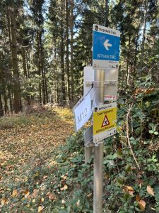 Ein metallener Wegweiser steht neben einem Waldweg und zeigt verschiedene Schilder für die Burgenland Trails, den Bathany Trail und warnt vor Kreuzungen. Laub und dichte Bäume säumen diese beliebte MTB-Strecke für Mountainbike-Enthusiasten.