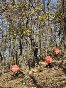 Eine Person geht auf einem Feldweg durch einen kahlen Wald. In den Bäumen hängen drei rote Warnschilder mit der Aufschrift „Vorsicht! Kampf!“. Der Boden ist mit Laub bedeckt, der Himmel ist klar.