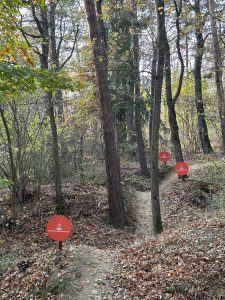 Ein schmaler, unbefestigter Mountainbike-Pfad schlängelt sich durch einen Wald mit abgefallenem Laub, gesäumt von Bäumen. Drei rote, runde Schilder warnen vor einem steilen Abhang entlang der Strecke. Das Laub ist in verschiedenen Grün- und Herbstfarben gehalten.