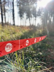 Ein rotes Band mit weißen, runden Logos, wie man es oft bei Mountainbike-Events sieht, verläuft durch hohes Gras in einem sonnenbeschienenen Wald, mit Bäumen und hellem Sonnenlicht im unscharfen Hintergrund.