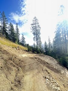 Ein Feldweg schlängelt sich unter einem teilweise bewölkten Himmel durch einen Wald aus hohen Kiefern bergauf, wobei Sonnenlicht durch die Bäume strömt und die Mountainbike-Strecke erhellt.