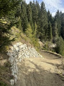 Ein Feldweg schlängelt sich durch einen Wald aus hohen immergrünen Bäumen, perfekt für die Mountainbike-Bewegung, mit einer Stützmauer aus Stein auf der linken Seite und sanftem Sonnenlicht, das durch die Zweige fällt.