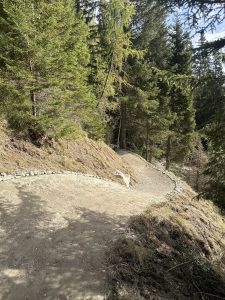 An einem sonnigen Tag schlängelt sich ein gewundener Feldweg durch einen dichten, grünen Wald mit hohen Kiefern. Perfekt für ein Mountainbike-Abenteuer: Der Weg ist von Felsen gesäumt, und das Sonnenlicht fällt durch die Äste auf das üppige Laub.
