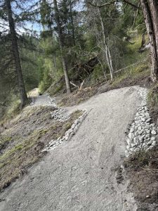 Ein gewundener Feldweg schlängelt sich bergauf durch ein Waldgebiet. Kleine Steine säumen die Ränder. Hohe Kiefern säumen den Weg, und Sonnenlicht fällt durch die Äste.
