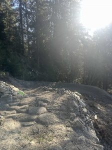 Ein steiniger Feldweg schlängelt sich durch einen sonnenbeschienenen Wald mit hohen Bäumen, die Schatten auf den Weg werfen. Dieser einladende Weg ist ideal für Mountainbike-Fans, da helles Sonnenlicht durch die Bäume auf der rechten Bildseite fällt.