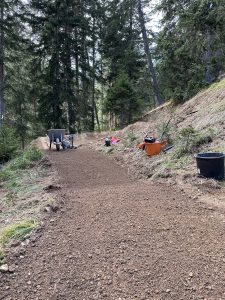 Eine im Bau befindliche unbefestigte Mountainbike-Strecke schlängelt sich durch einen Wald. Werkzeuge, Eimer und eine Schubkarre liegen verstreut am Wegrand. Hohe immergrüne Bäume säumen beide Seiten des Weges.