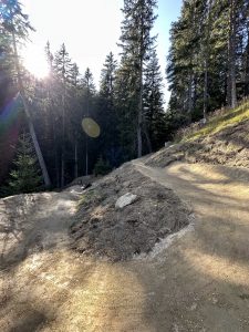 Ein gewundener Feldweg schlängelt sich durch einen Wald aus hohen Kiefern, wobei Sonnenlicht durch die Zweige strömt und Schatten auf die Mountainbike-Strecke wirft.
