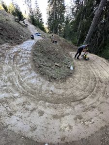 Eine Person ebnet mit einem Verdichter einen Feldweg an einem bewaldeten Hang und verbessert so den Weg für die Mountainbike-Bewegung. Die kurvenreiche Strecke ist von hohen Bäumen gesäumt, und entlang des neu angelegten Mountainbike-Trails liegen verstreut Bauwerkzeuge.