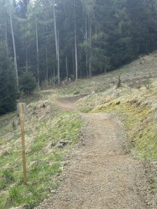 Ein unbefestigter Weg schlängelt sich bergauf durch ein grasbewachsenes, teilweise bewaldetes Gebiet mit hohen immergrünen Bäumen im Hintergrund. Auf der linken Seite dieser malerischen Mountainbike-Strecke steht ein Holzpfosten mit einem kleinen Schild.
