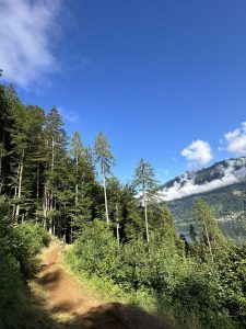 Ein Feldweg schlängelt sich durch einen üppigen grünen Wald mit hohen Bäumen, perfekt für Mountainbike-Fans, und führt zu einem See und Bergen, die unter einem strahlend blauen Himmel teilweise von Wolken bedeckt sind.