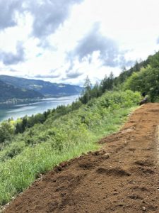 Ein Feldweg schlängelt sich an einem grasbewachsenen Hügel entlang, von dem aus man einen großen See überblicken kann. Im Hintergrund sind Berge und Wälder unter einem bewölkten Himmel zu sehen – perfekt für Mountainbike-Enthusiasten.
