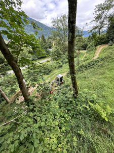 Zwischen grünem Laub und Bäumen ist auf einem Bergpfad teilweise ein kleiner Bagger zu sehen. Im Hintergrund sind unter einem bewölkten Himmel Berge zu sehen, während sich ein gewundener Feldweg perfekt für Mountainbike-Abenteuer eignet.