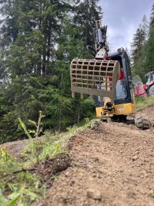 Ein gelber Bagger mit einem Gitterschaufelaufsatz arbeitet auf einem Feldweg in einem Waldgebiet, umgeben von hohen immergrünen Bäumen unter einem bewölkten Himmel.