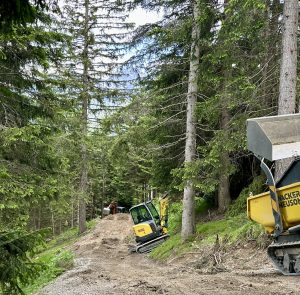 Ein gelber Minibagger arbeitet auf einem Feldweg im Wald, während rechts ein Baufahrzeug teilweise sichtbar ist. Zwei Arbeiter in orangefarbener Kleidung stehen weiter unten am Weg zwischen hohen Kiefern und bereichern den Mountainbike-Bewegungsbereich.