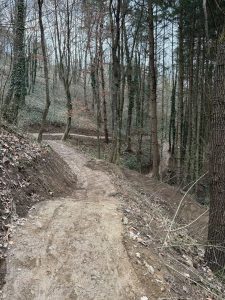 Ein Feldweg schlängelt sich durch einen Wald mit hohen, blattlosen Bäumen an einem Hang – perfekt für eine abenteuerliche Mountainbike-Tour. Der Boden ist mit trockenem Laub und nackten Erdflecken bedeckt, der Himmel ist bedeckt.