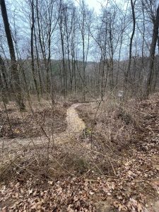 Ein schmaler, schlammiger Pfad schlängelt sich an einem bewölkten Tag durch einen Wald mit kahlen Bäumen und braunem Unterholz. Trockenes Laub bedeckt den Boden, und die Landschaft wirkt still und winterlich – perfekt für ein Mountainbike-Abenteuer außerhalb der Saison.