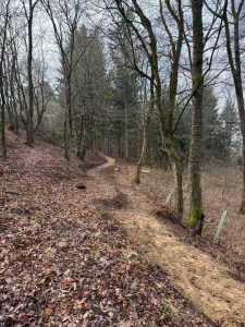An einem bewölkten Tag schlängelt sich ein schlammiger Mountainbike-Track durch einen laubbedeckten Wald mit kahlen Bäumen. Der Boden ist feucht, und auf einigen Baumstämmen befinden sich Flecken von grünem Moos.