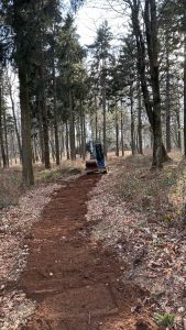 Ein kleiner Bagger räumt einen unbefestigten Mountainbike-Trail durch einen Wald mit hohen Bäumen und Laub am Boden frei. Der Weg schlängelt sich nach vorne und ist perfekt für Mountainbiker in dieser malerischen Waldlandschaft.