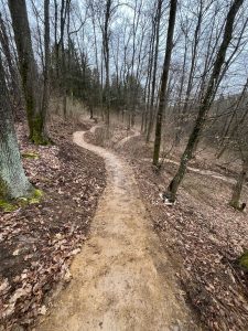 Ein schmaler Feldweg schlängelt sich durch einen laubbedeckten Wald mit kahlen Bäumen und bewölktem Himmel und schafft im frühen Frühling oder späten Herbst eine friedliche, natürliche Umgebung – perfekt für eine ruhige Mountainbike-Tour.